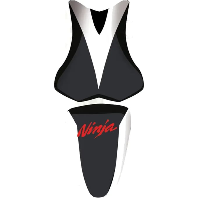 Motorzadelhoes Bagster zx 10 r