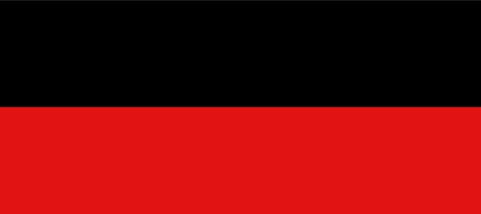 Vlag Landen 120x180cm