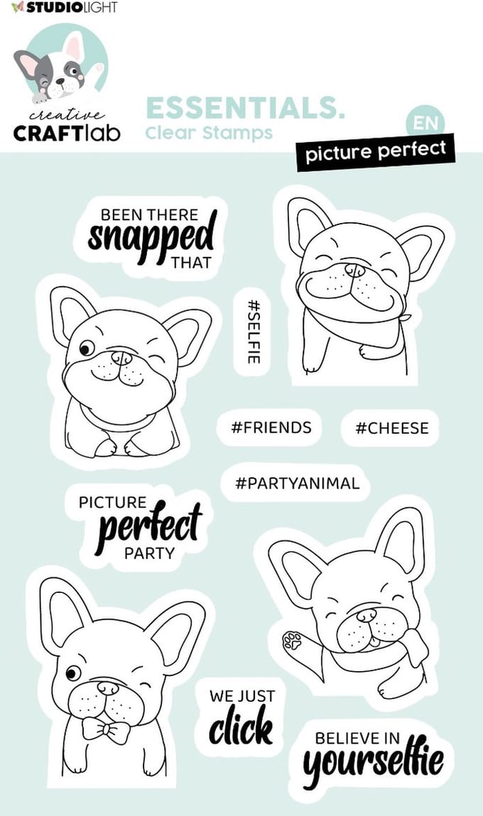Clear stamps Picture perfect Buddy - Essentials nr. 221