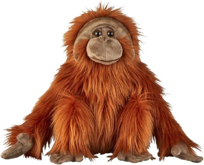 Pluche Orang Oetan knuffel - 50 cm - aap/apen - knuffeldier - jungle dieren