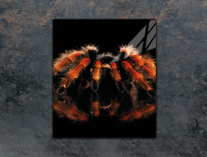 TMK ArtDeko - Snijplank - 45x52 cm - Veilig - Multifunctioneel
