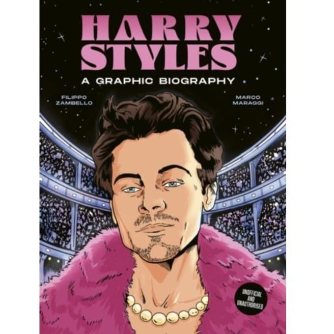 Harry Styles - Biographics - Filippo Zambello