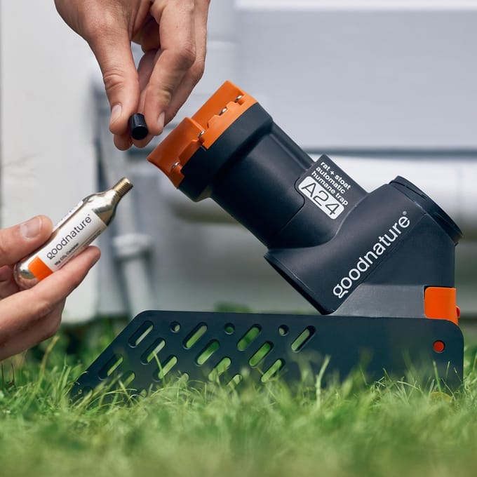 Goodnature CO2 Patroon voor A24 val - 30 pack