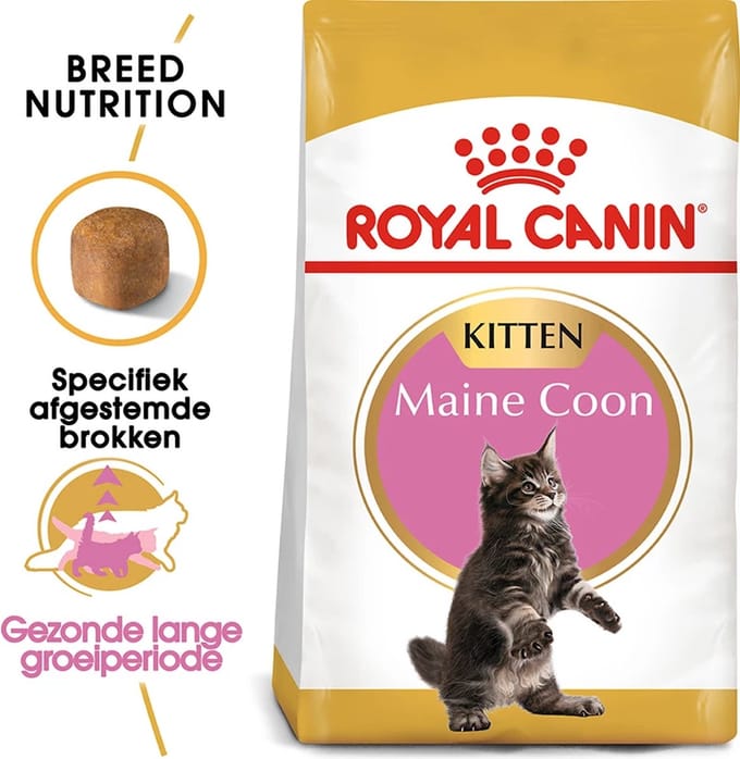 2x ROYAL CANIN Maine Coon Kitten 4 kg