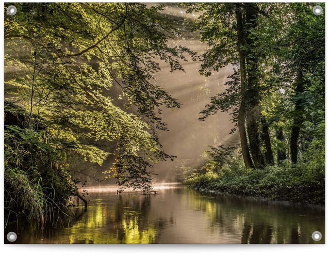 Tuinposter Beek in het bos - 60 x 80 - Canvas - REINDERS