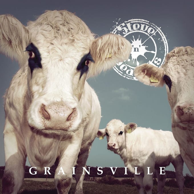 Steve'n'Seagulls - Grainsville (LP)