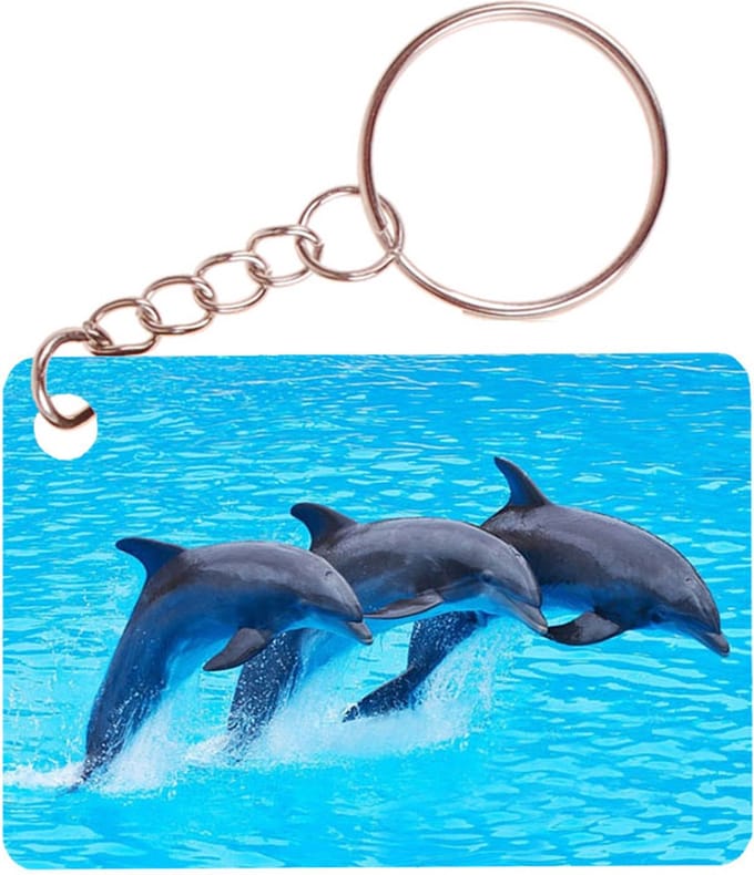 Sleutelhanger 6x4cm - 3 Dolfijnen Gespiegeld