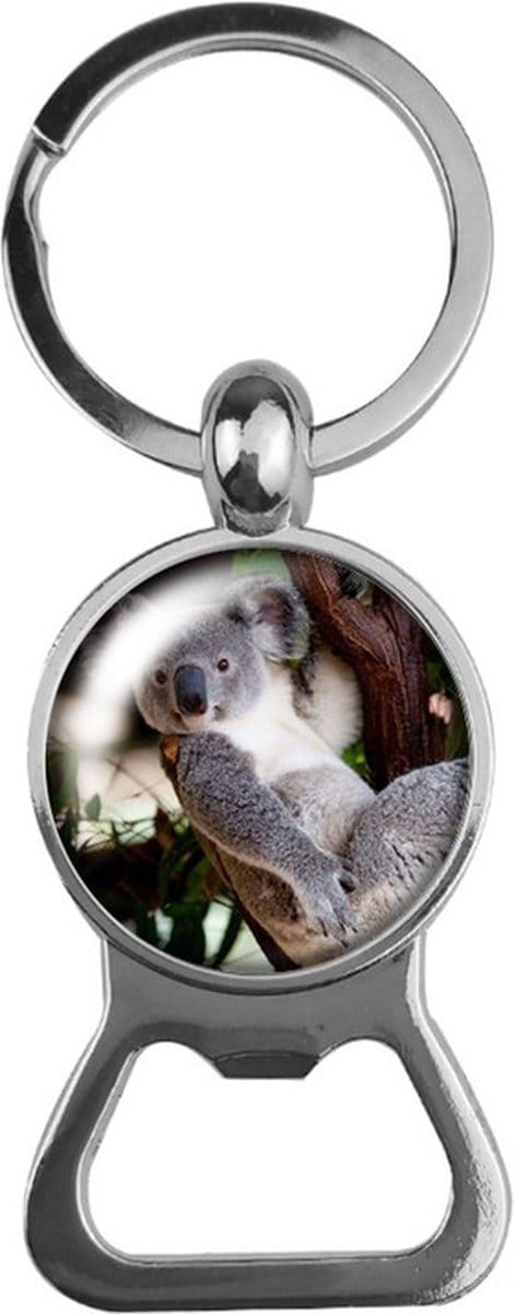 Bieropener Glas - Koala