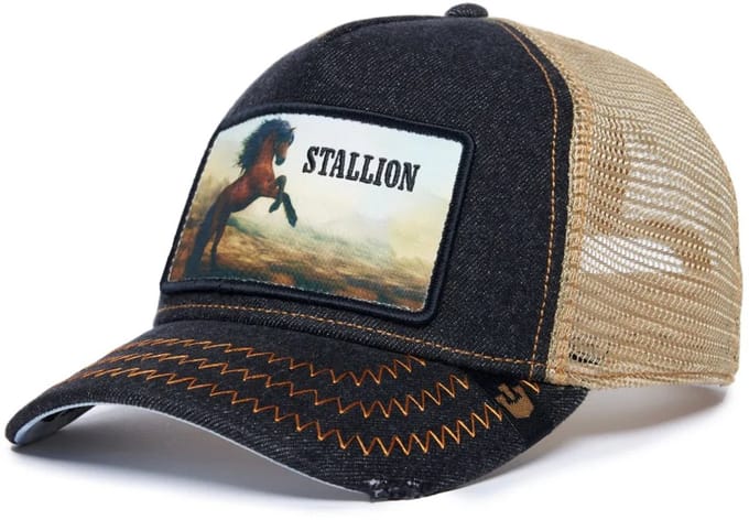 Goorin Bros. Stallion Trucker cap - Charcoal