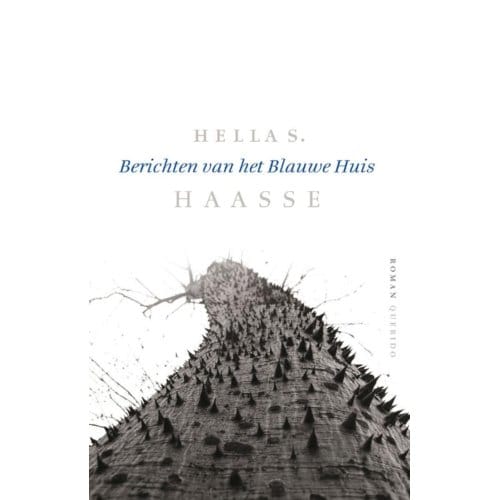 Berichten Van Het Blauwe Huis - Hella S. Haasse