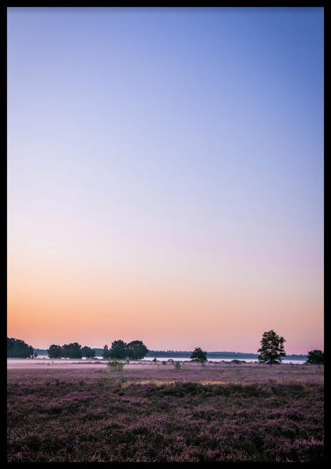 Poster Ginkel - 30x40 cm - Natuur Poster - WALLLL