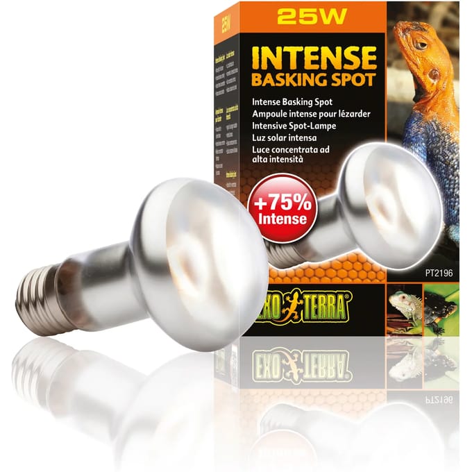 Terrarium lamp Exo Terra Intense Basking Spot 25W