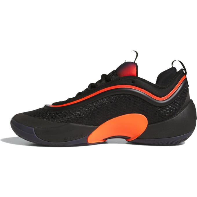 Basketbalschoenen adidas D.O.N. Issue 5