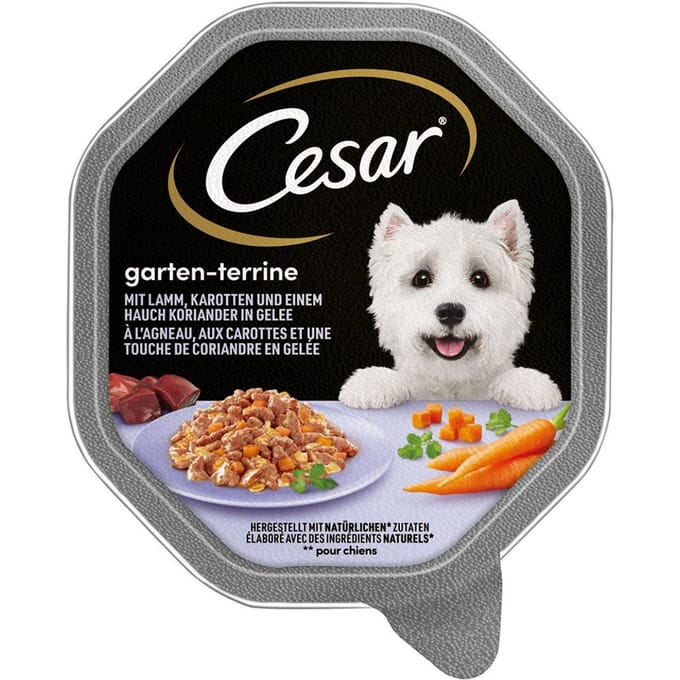 Megapack Cesar kuipjes 28 x 150 g - Lam, wortelen en koriander in gelei