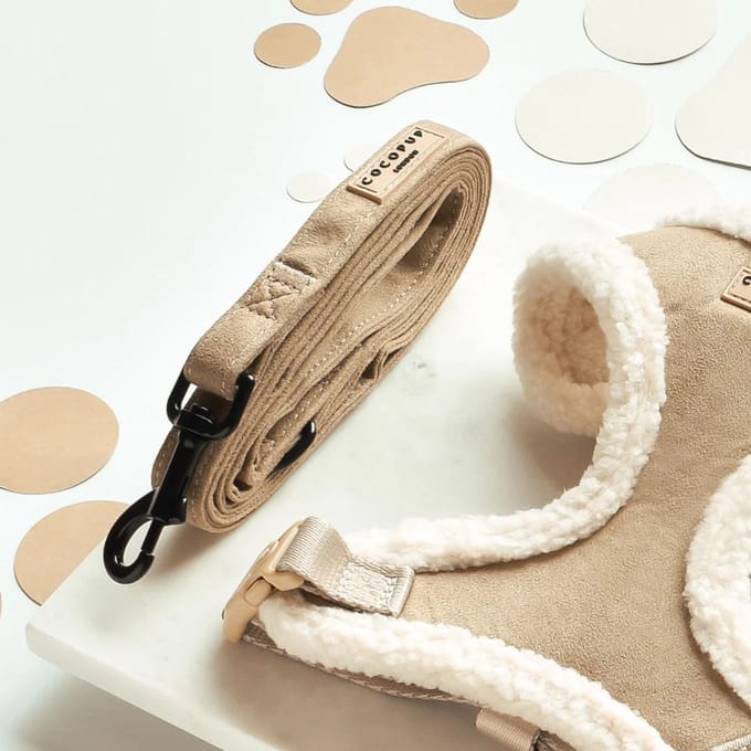 Cocopup hondenriem - Nude Aviator - 152x2cm