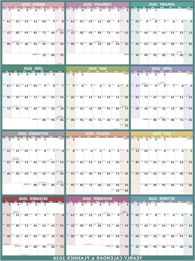 Jaarlijkse Wandkalender - Grote Kalender - Planning Maken - Veelkleurig Ontwerp - Groot Formaat - Multi