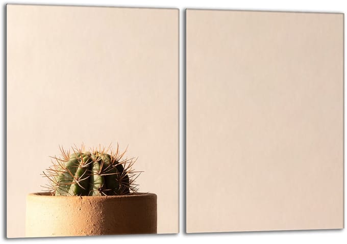 TMK ArtDeko - Kaktus - Glasplaat Bescherming - 40x52cm - Snijplank