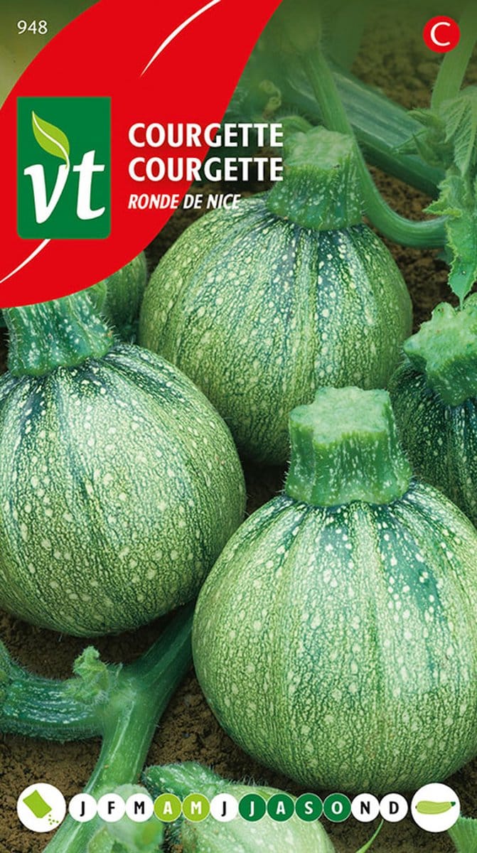 Erwt Doperwt Wonder van Kelvedon Zaden - Zoete en Malse Erwten voor Verse Teelt