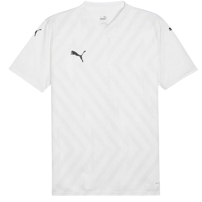 Puma Heren Teamglory Jersey T-Shirt (Wit/Zwart/Grijs)