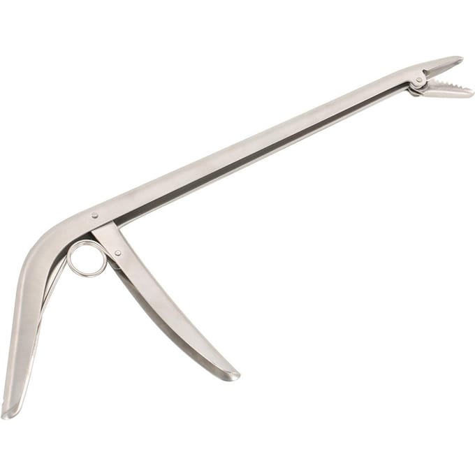 Lixada RVS Vishaak Verwijderaar Extractor Vishaak Verwijderingsgereedschap zilver