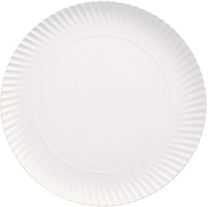 100 Borden, karton pure rond Ø 29 cm · 2 cm wit