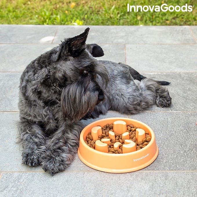 Anti-schrok voerbak Slowfi InnovaGoods
