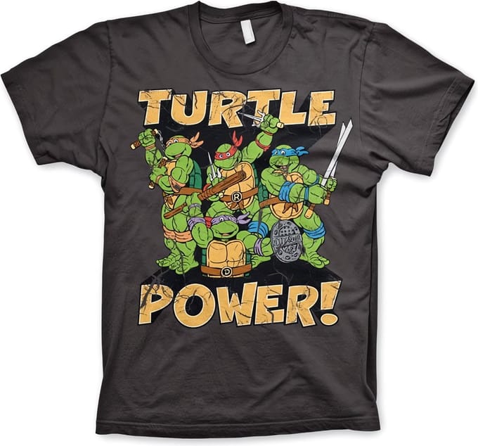 Teenage Mutant Ninja Turtles Heren Tshirt -L- Turtle Power! Grijs