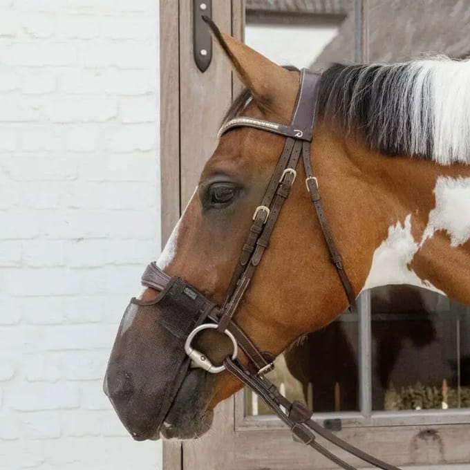 Kentucky Horsewear - Neusnetje bruin Full