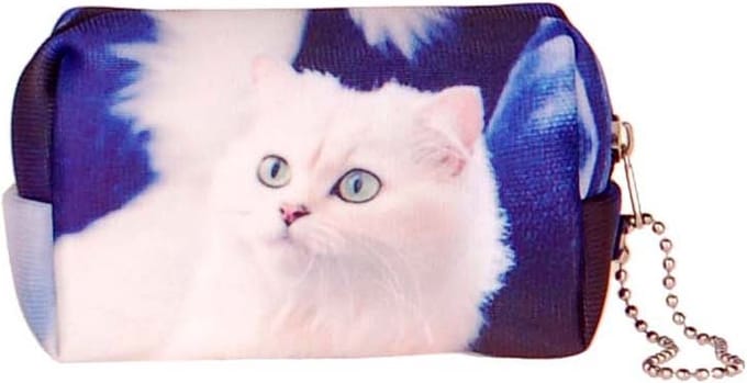 Kleine etui/klein toilettasje Poes