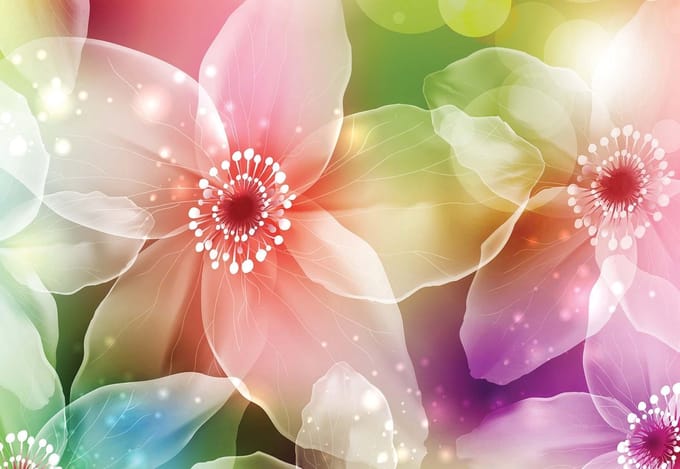 Fotobehang Flowers Art | PANORAMIC - 250cm x 104cm | 130g/m2 Vlies