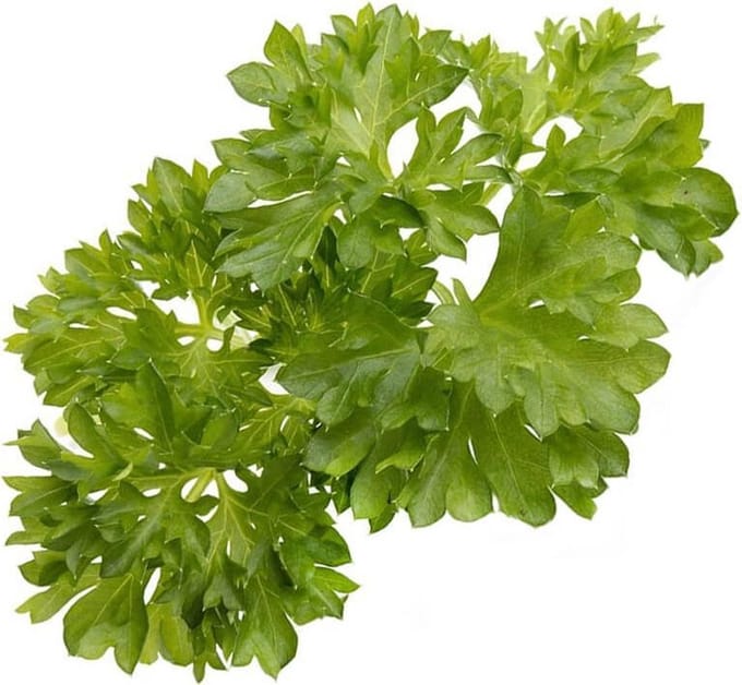 Click & Grow Smart Garden Refill 3-pack - Parsley