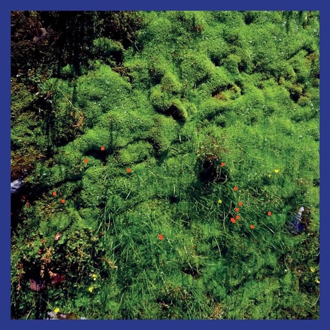 Matthias Puech - Mt. Hadamard National Park (LP) (Coloured Vinyl)