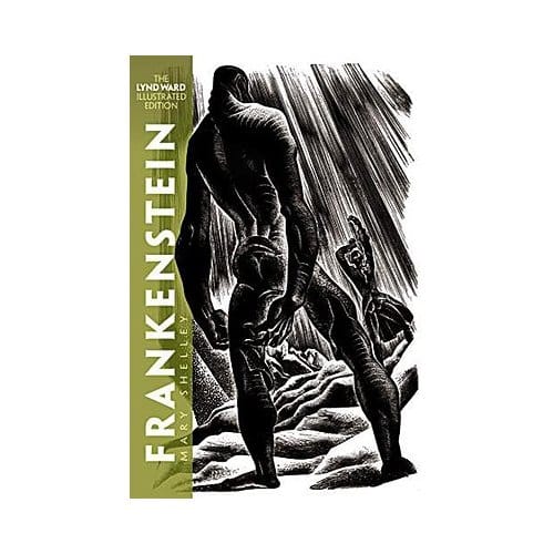 Frankenstein - Shelley, Mary