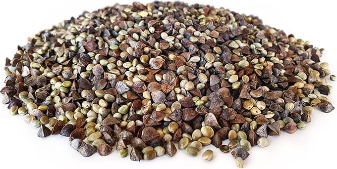 Hennep Boekweit Partikel Mix 20KG - Karpervissen - Partikels - Karper Aas - Karper Vissen - Karper Voer - Karper