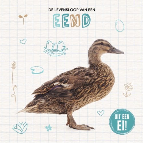 De Levensloop Van Een Eend - Uit Een Ei! - Shalini Vallepur