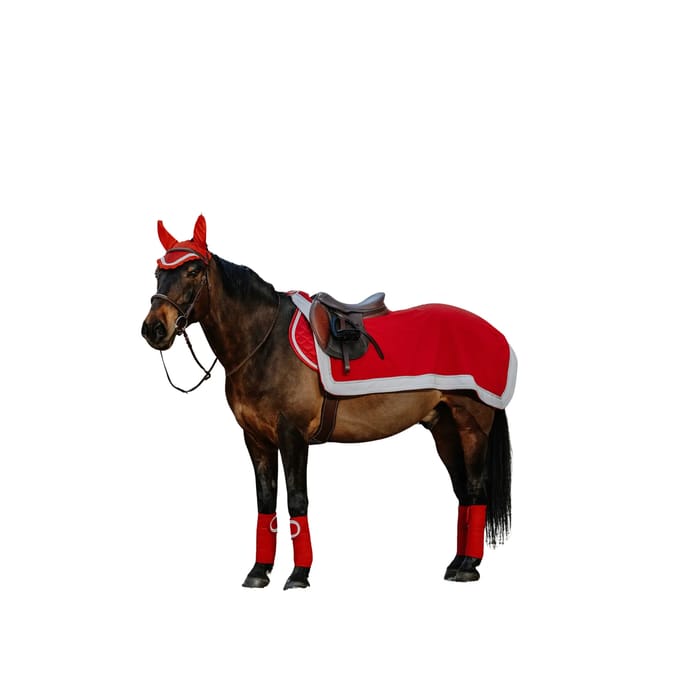 Paardendekens Equithème Xmas
