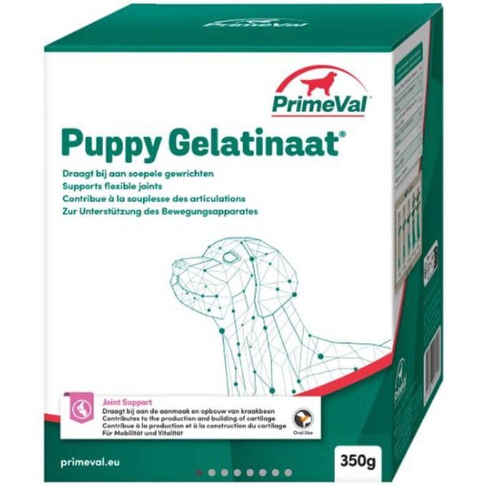 Primeval Artrose Gelatinaat Puppy - 350 gr
