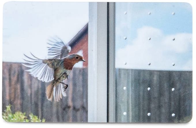 Vogelbeschermingsmarkering SEEN Elements 50m