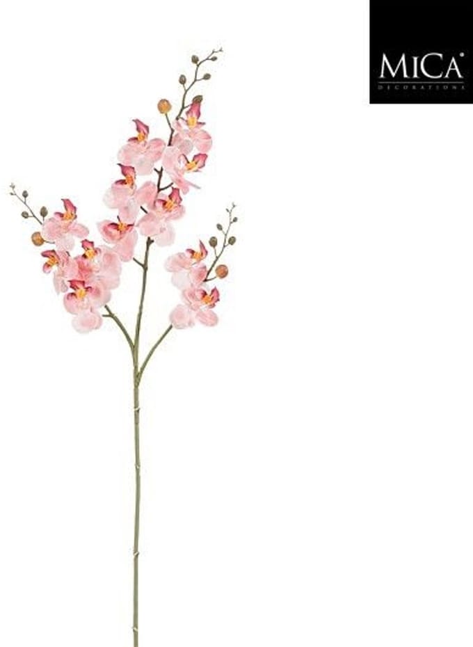 Phalaenopsis pink - l75cm
