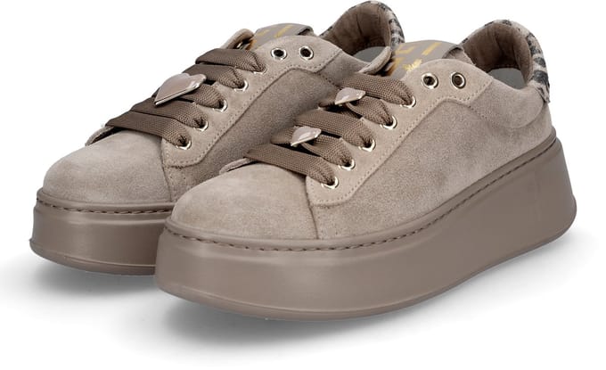 Gio+ Dames sneaker taupe