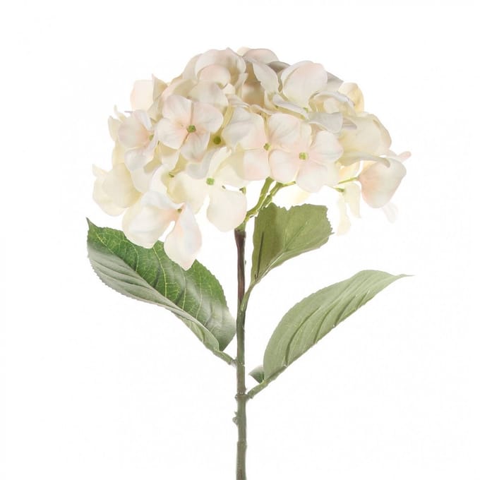 Single hydrangea 68 cm cream