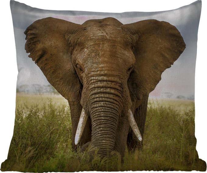 Buitenkussen - Olifant - Natuur - Gras - Dieren - Landschap - 45x45 cm - Weerbestendig