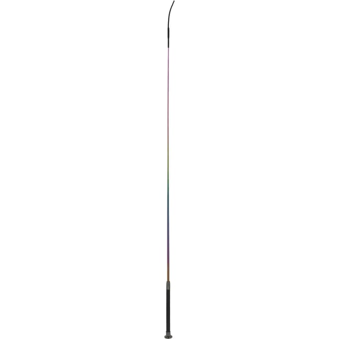 Rijdende zweep Whip & Go Hologram