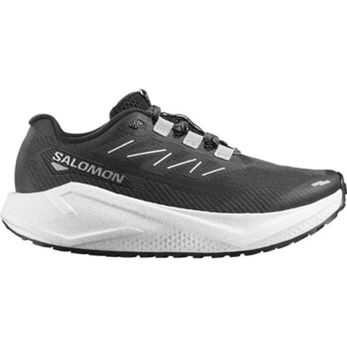 Sportieve Salomon AERO BLAZE 3 GRVL W 38 Dames