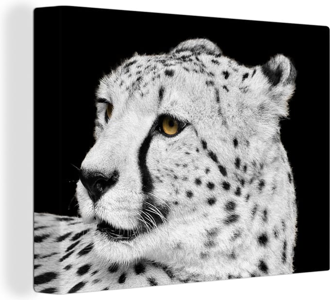 Canvas Schilderij Luipaard - Wit - Zwart - 40x30 cm - Wanddecoratie