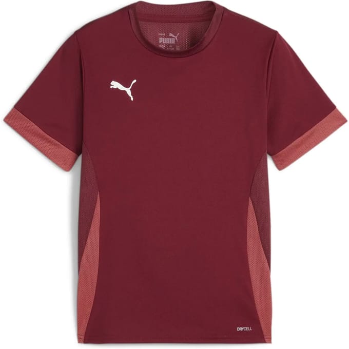 Trainingstrui voor kinderen Puma TeamGoal