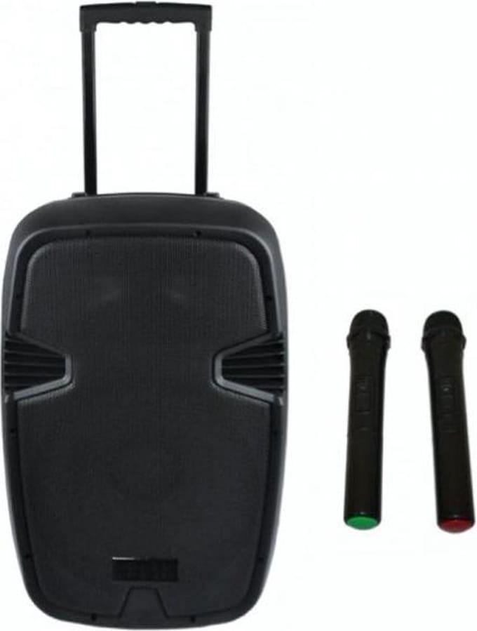Mobiele Geluidsset 800W PRO (2x handmicrofoon)