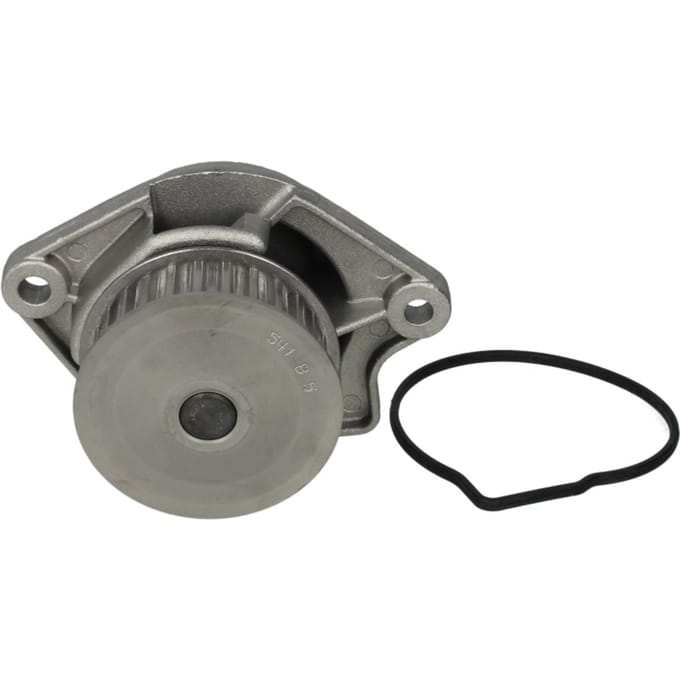 Waterpomp HEPU P541