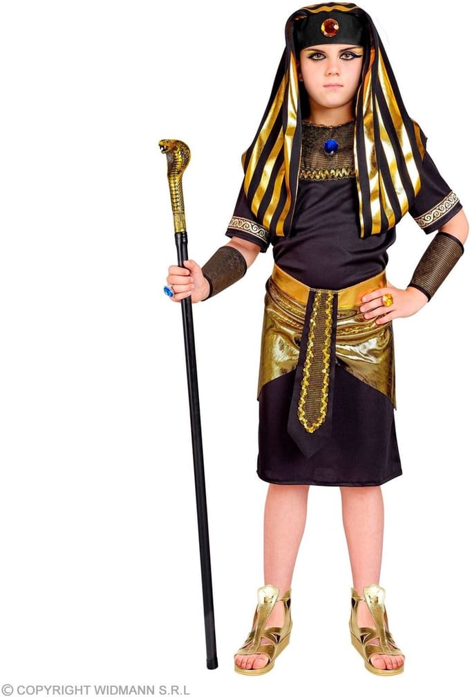 Farao Goldachamon Kind Kostuum