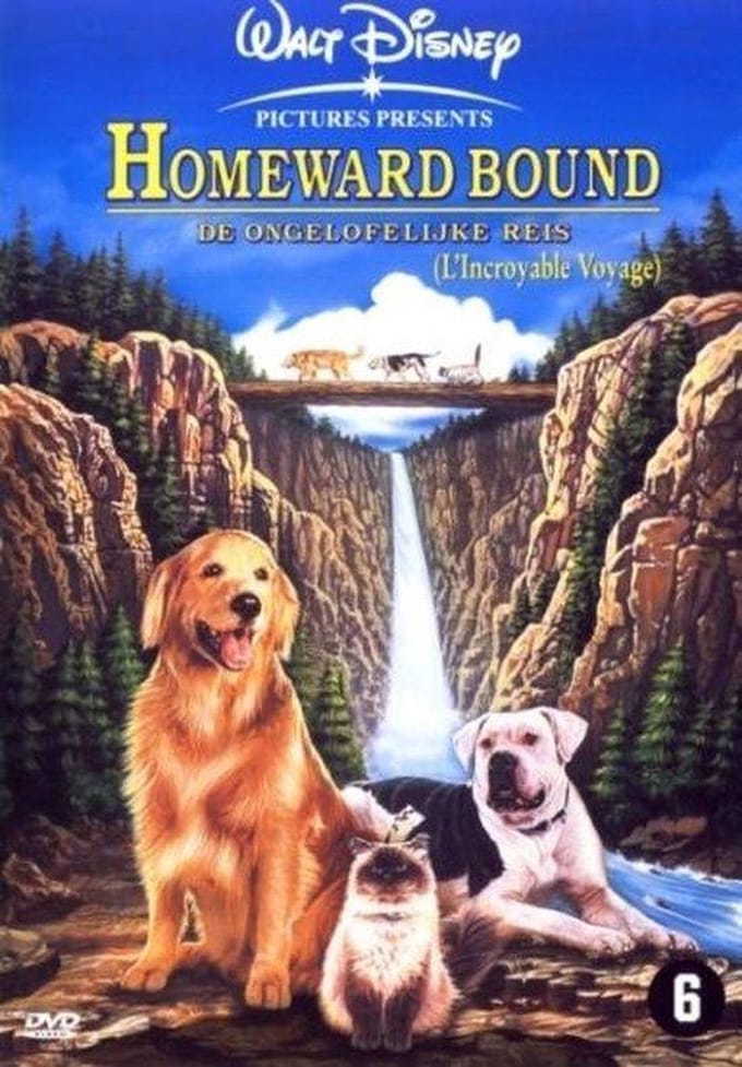 Homeward Bound - The Incredible Journey